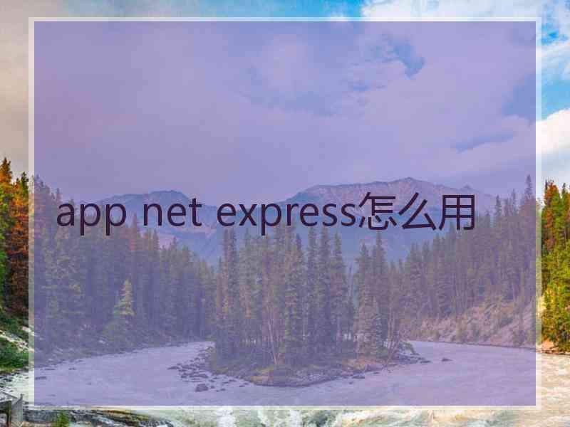 app net express怎么用