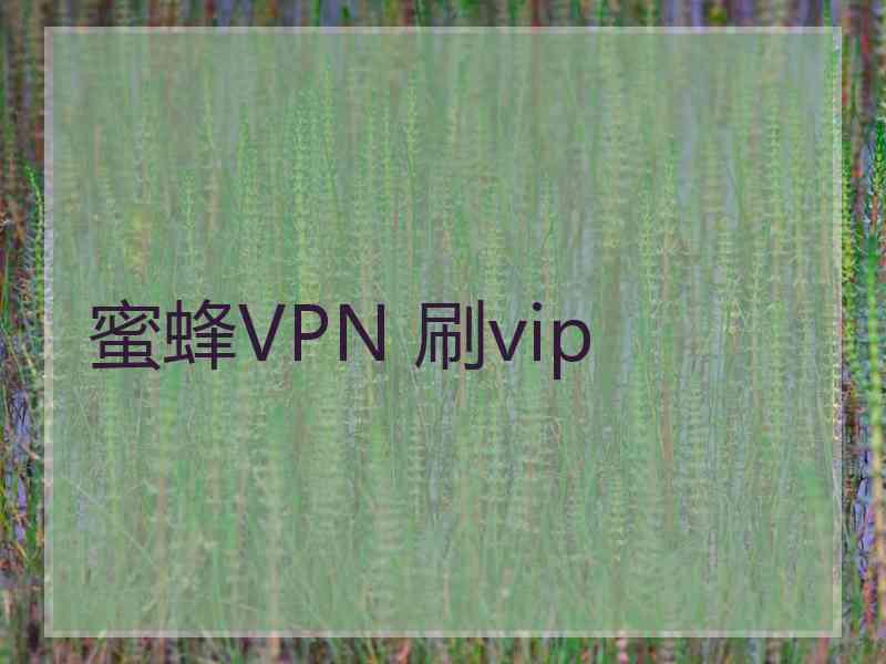 蜜蜂VPN 刷vip