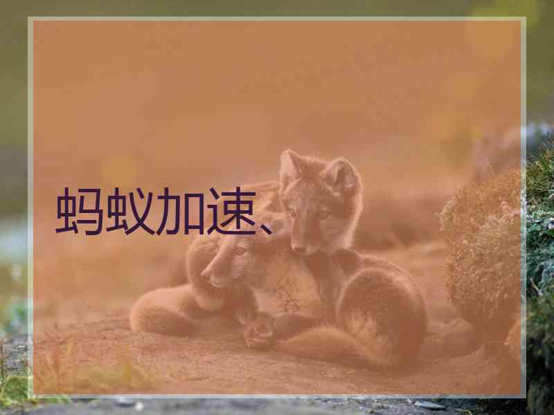 蚂蚁加速、