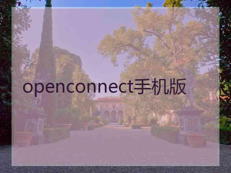 openconnect手机版