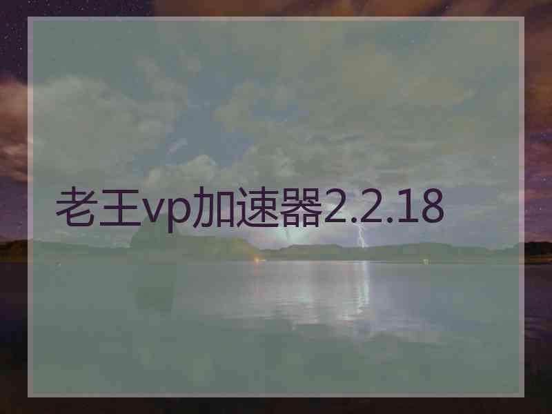 老王vp加速器2.2.18