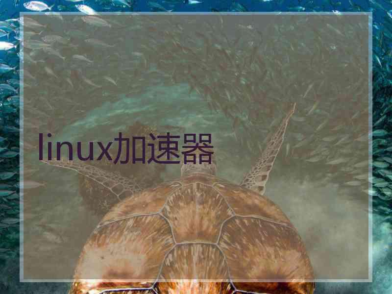 linux加速器