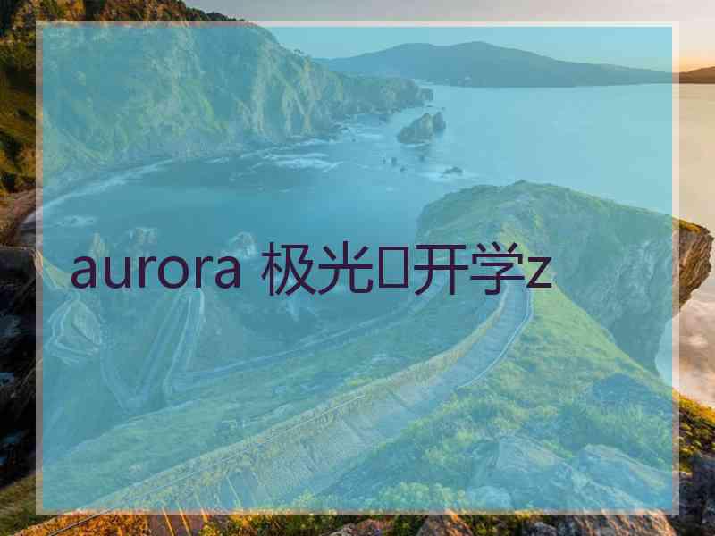 aurora 极光✨开学z