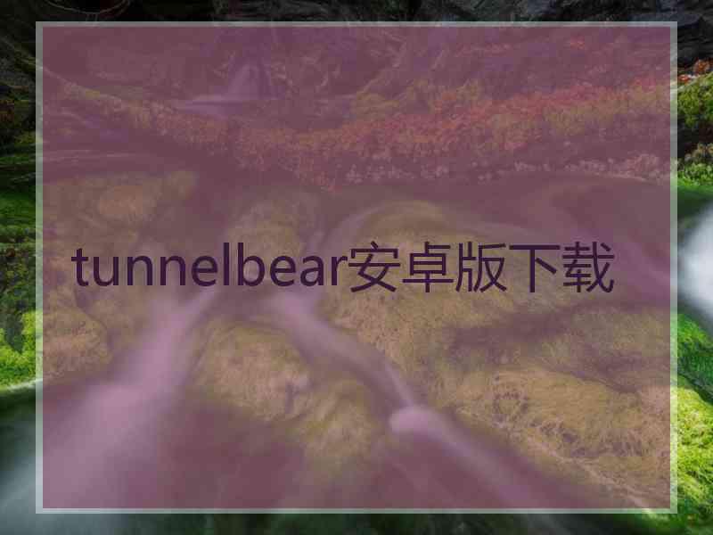 tunnelbear安卓版下载