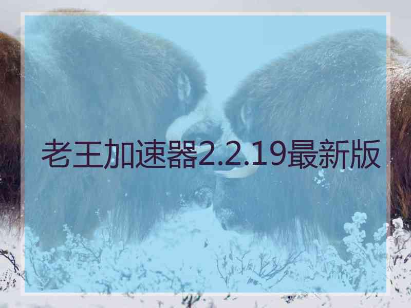 老王加速器2.2.19最新版
