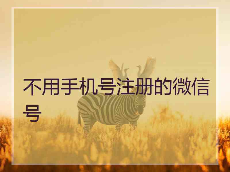 不用手机号注册的微信号 不用手机号注册的微信号