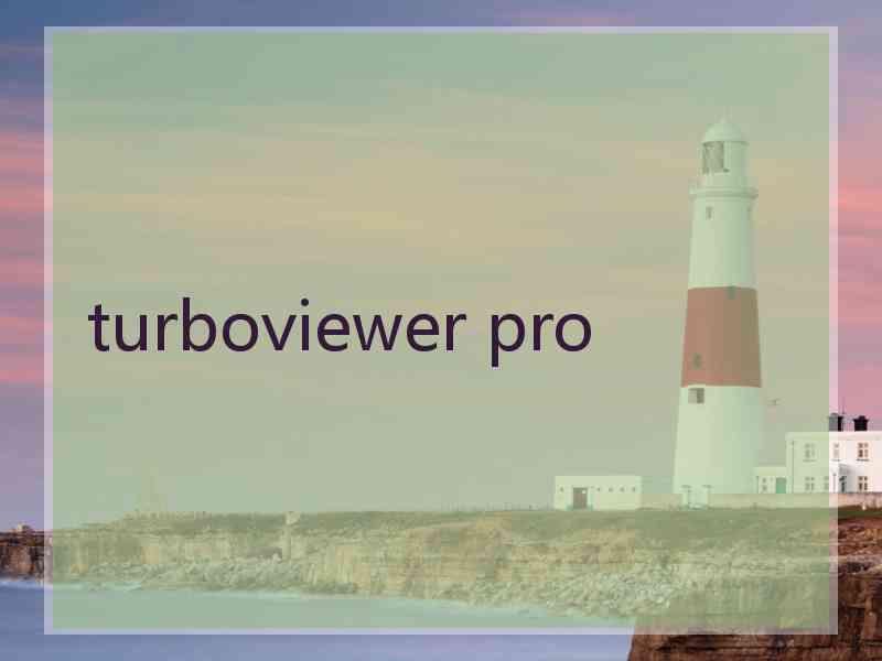 turboviewer pro