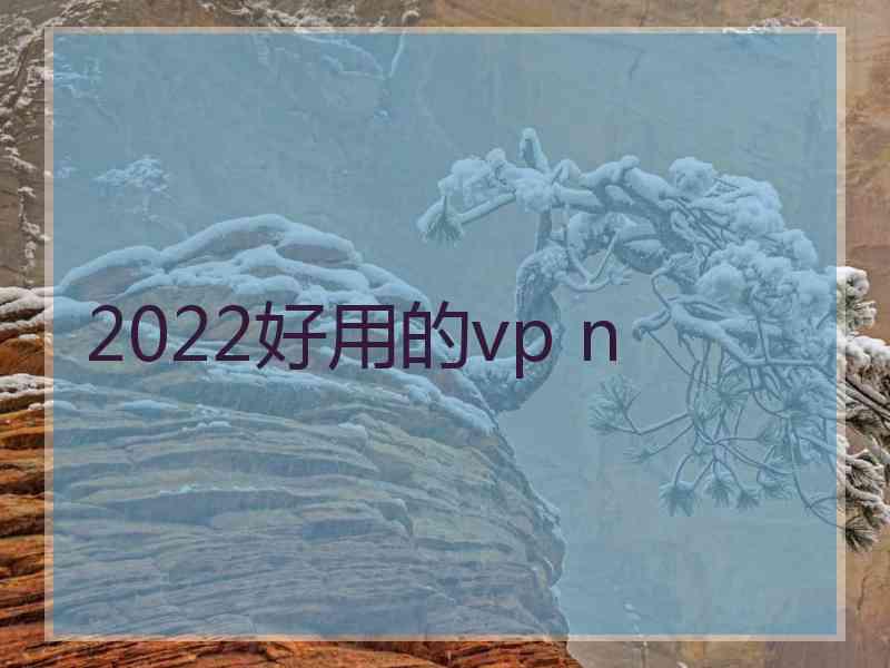 2022好用的vp n