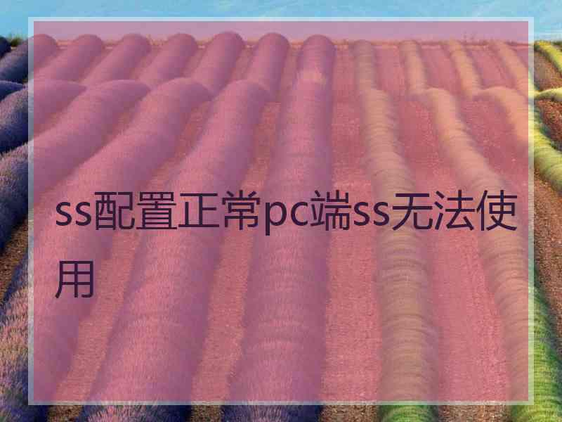 ss配置正常pc端ss无法使用