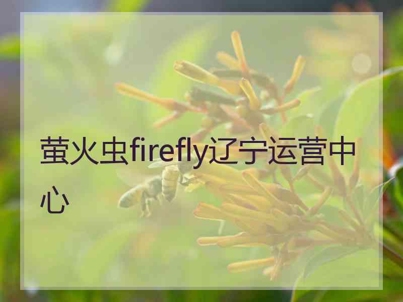 萤火虫firefly辽宁运营中心