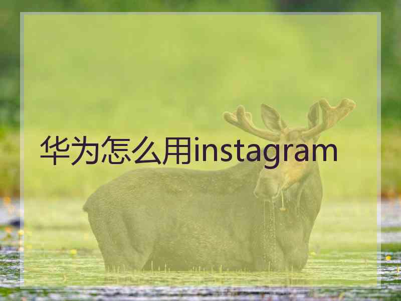 华为怎么用instagram