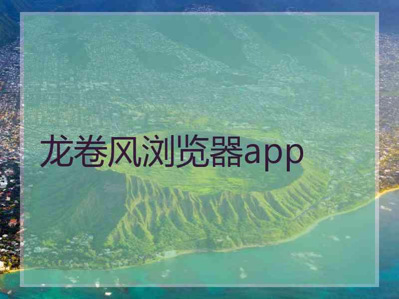龙卷风浏览器app