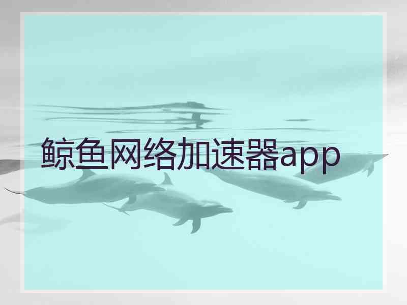 鲸鱼网络加速器app