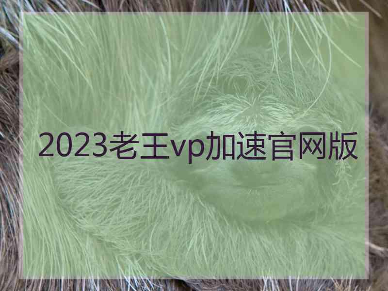 2023老王vp加速官网版