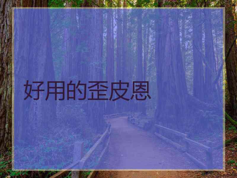 好用的歪皮恩