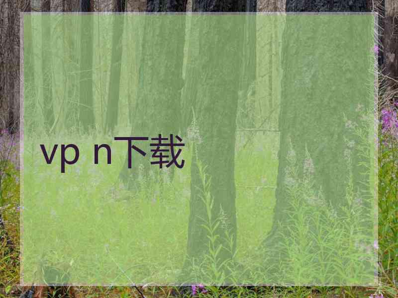 vp n下载