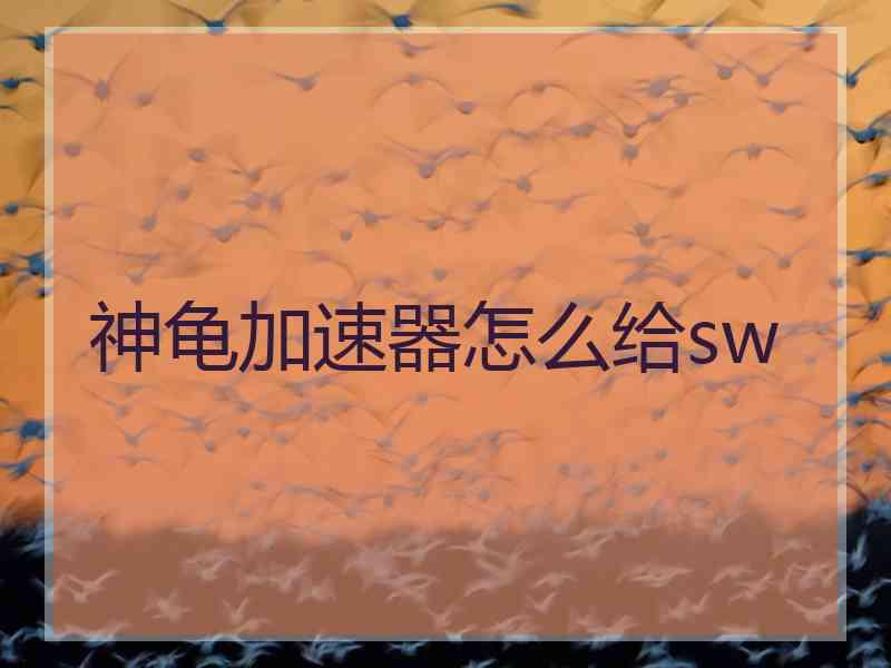 神龟加速器怎么给sw