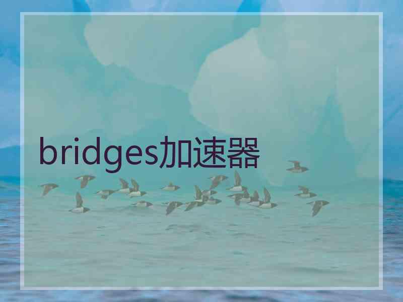 bridges加速器