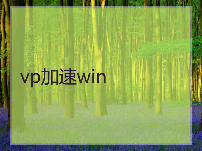 vp加速win