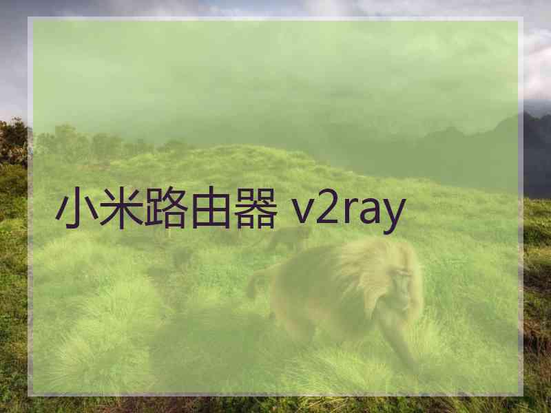 小米路由器 v2ray