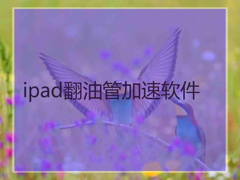 ipad翻油管加速软件