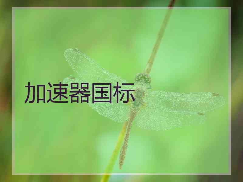 加速器国标