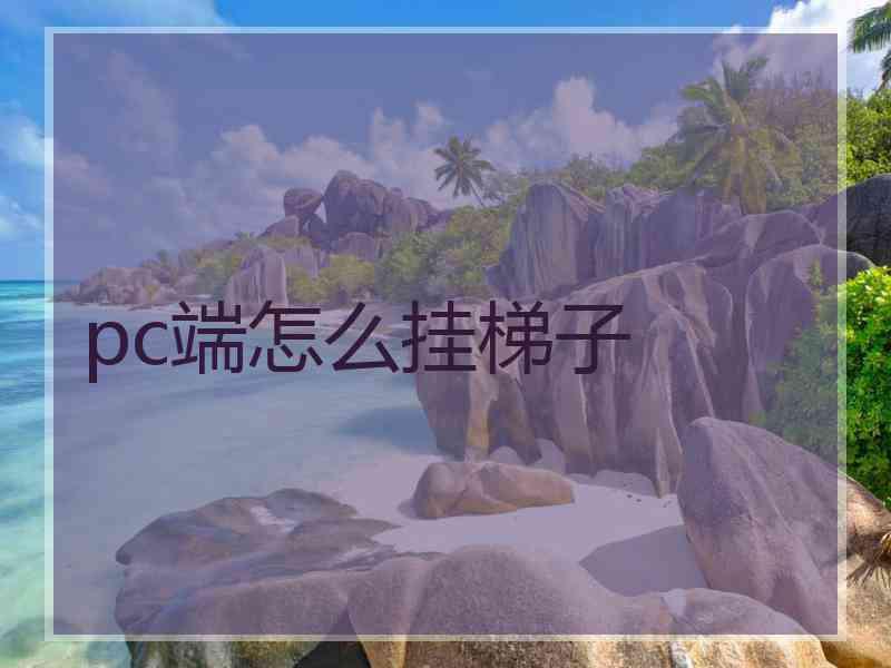 pc端怎么挂梯子