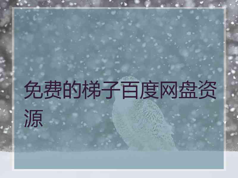免费的梯子百度网盘资源