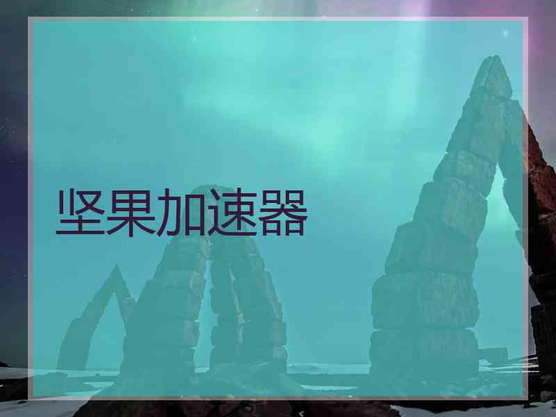 坚果加速器