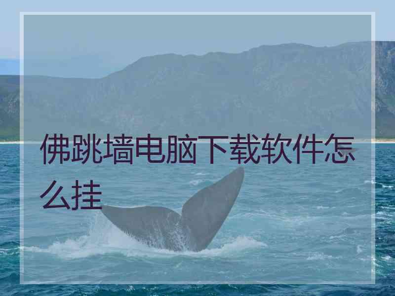 佛跳墙电脑下载软件怎么挂