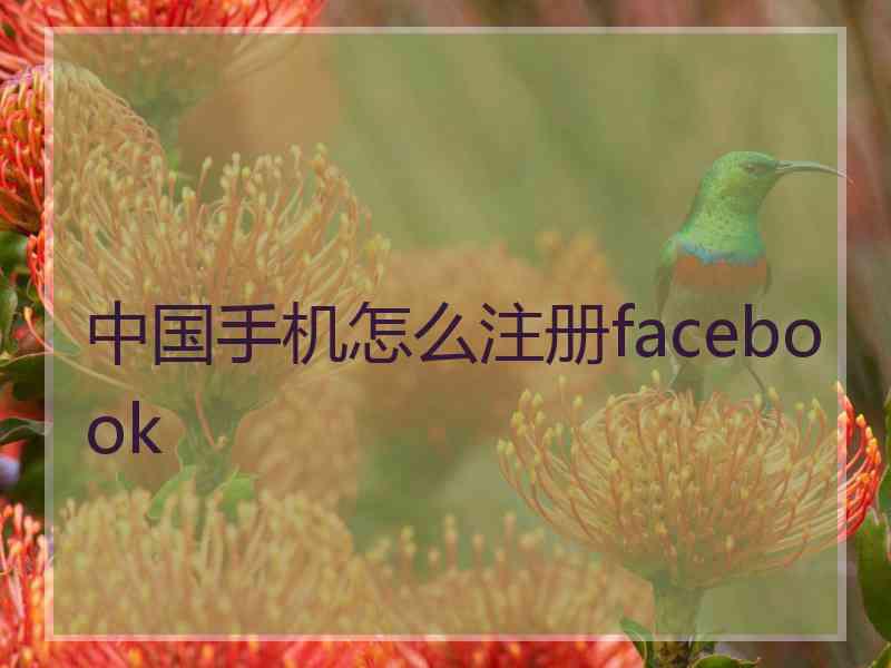 中国手机怎么注册facebook