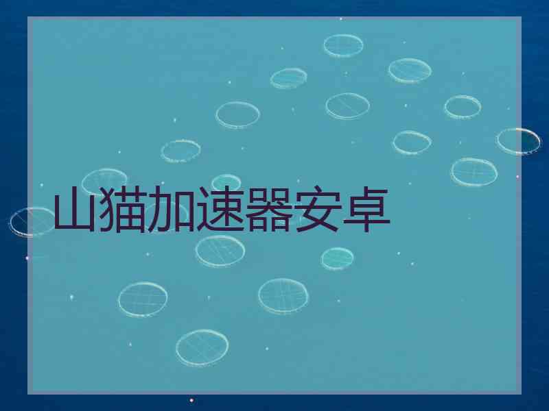 山猫加速器安卓