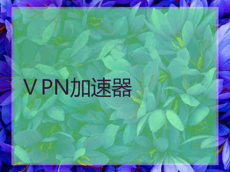 ⅤPN加速器