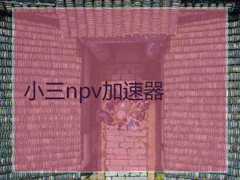 小三npv加速器