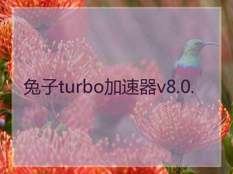 兔子turbo加速器v8.0.