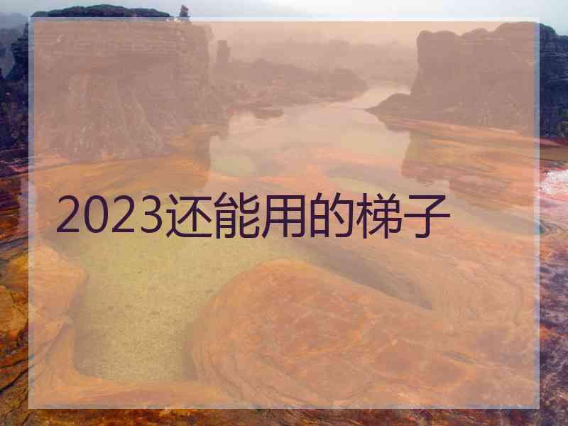 2023还能用的梯子