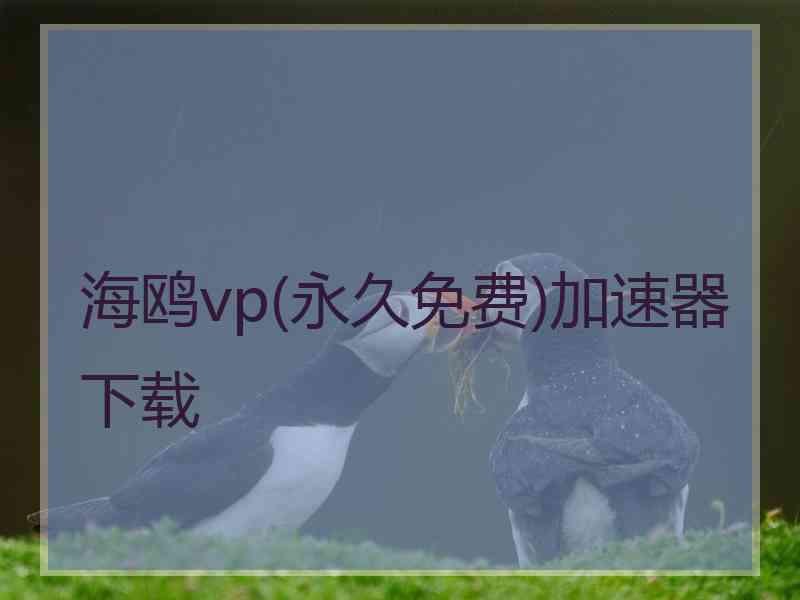 海鸥vp(永久免费)加速器下载