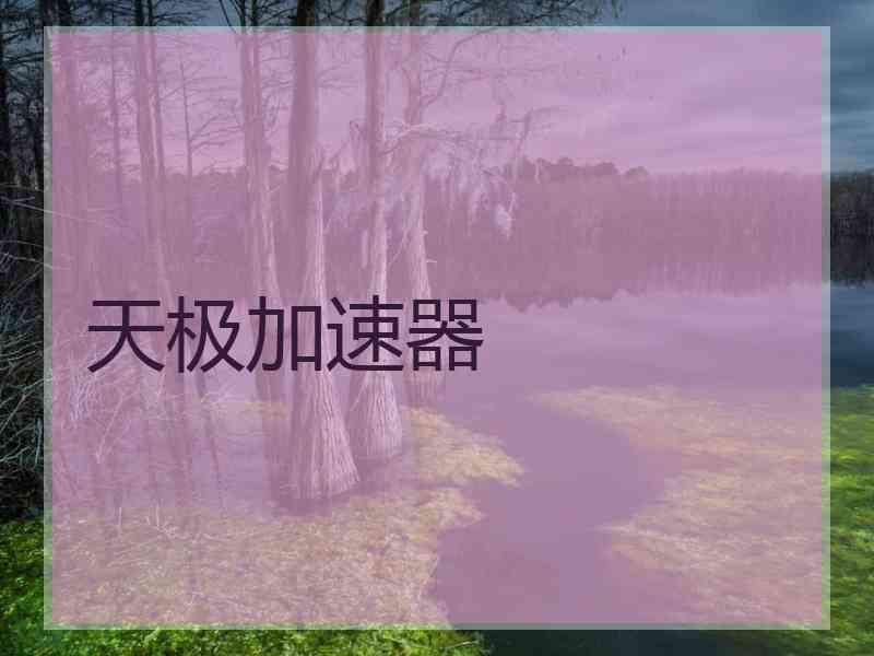 天极加速器