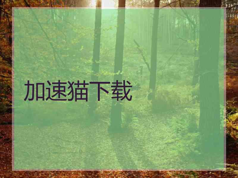 加速猫下载