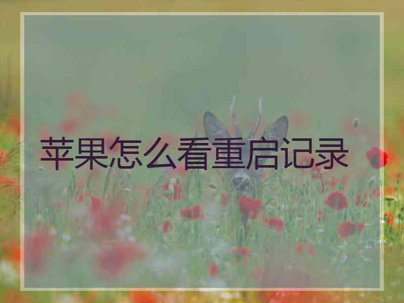 苹果怎么看重启记录