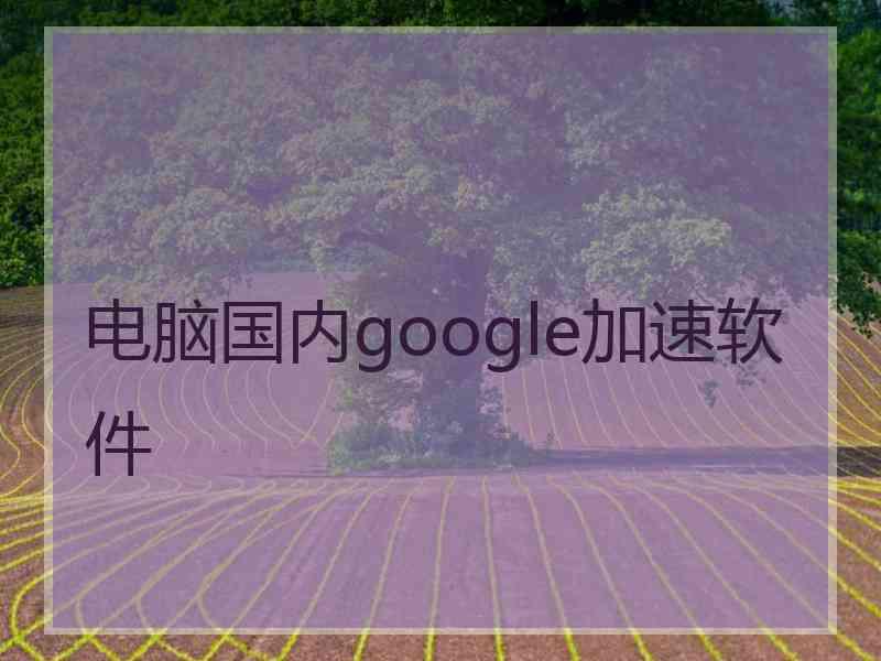 电脑国内google加速软件