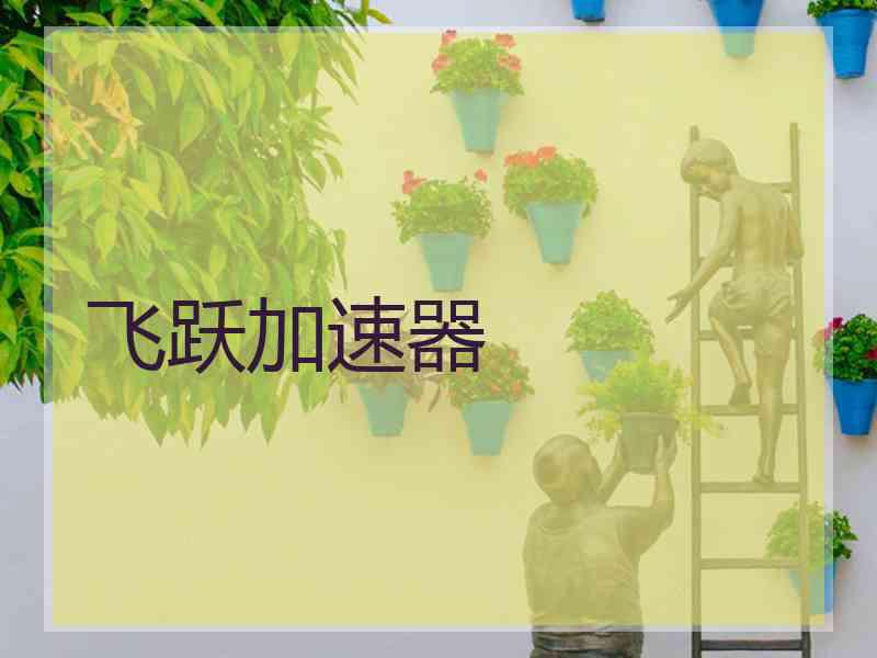 飞跃加速器