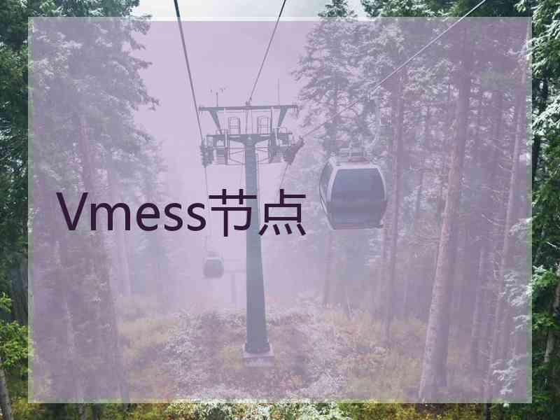 Vmess节点