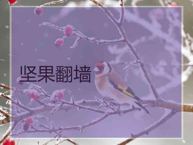 坚果翻墙