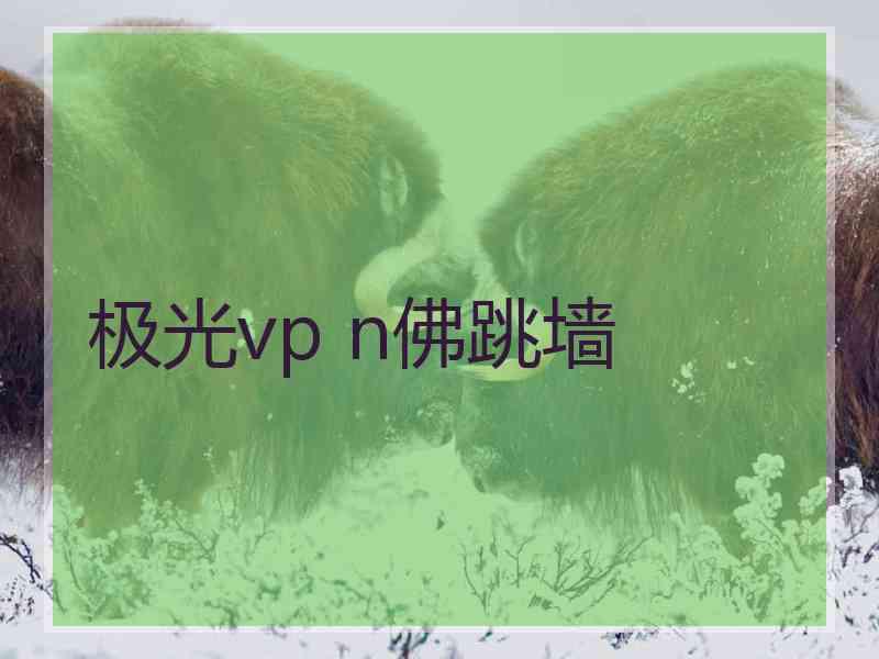 极光vp n佛跳墙