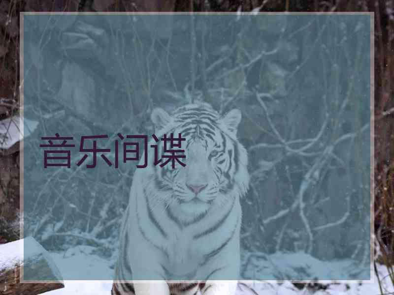 音乐间谍