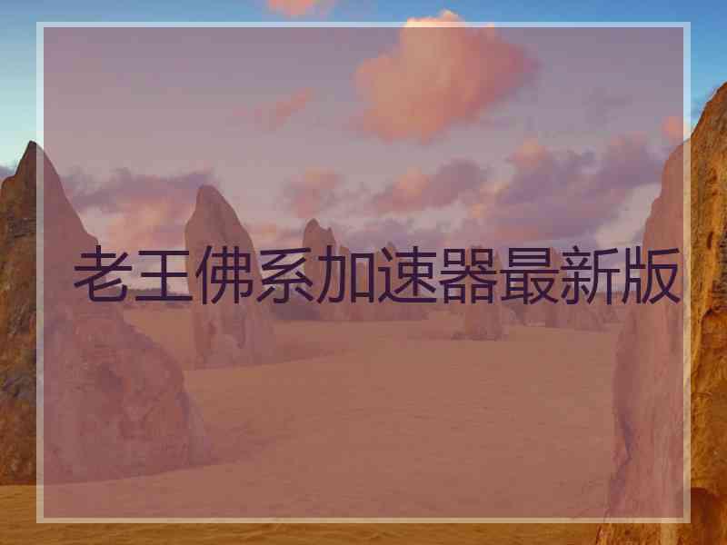 老王佛系加速器最新版
