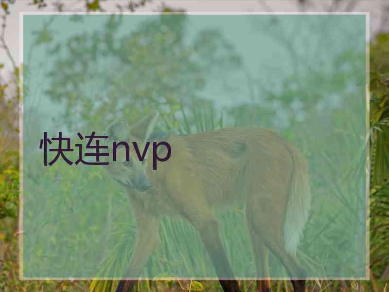 快连nvp