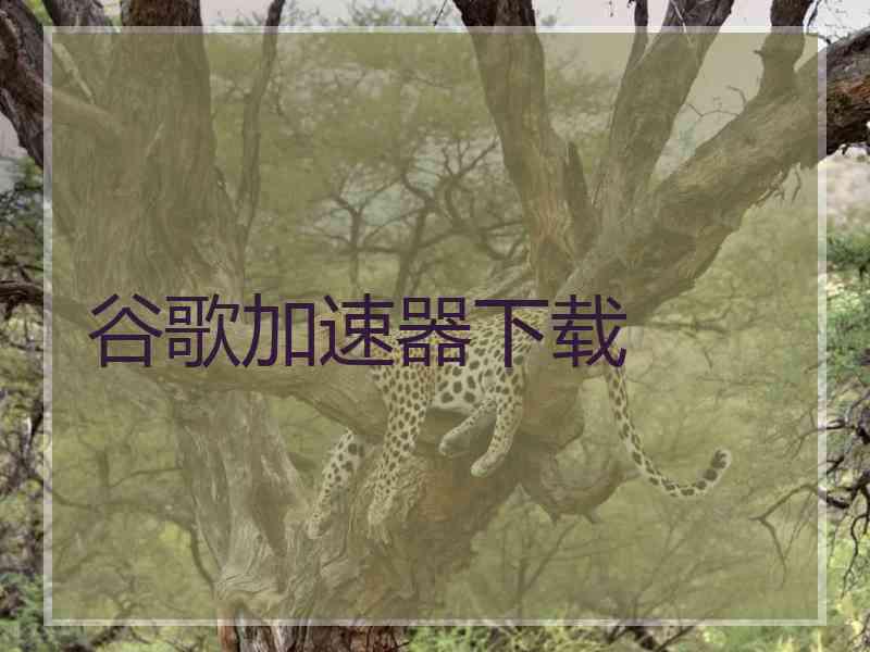 谷歌加速器下载