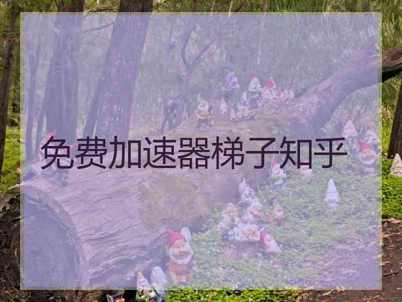 免费加速器梯子知乎